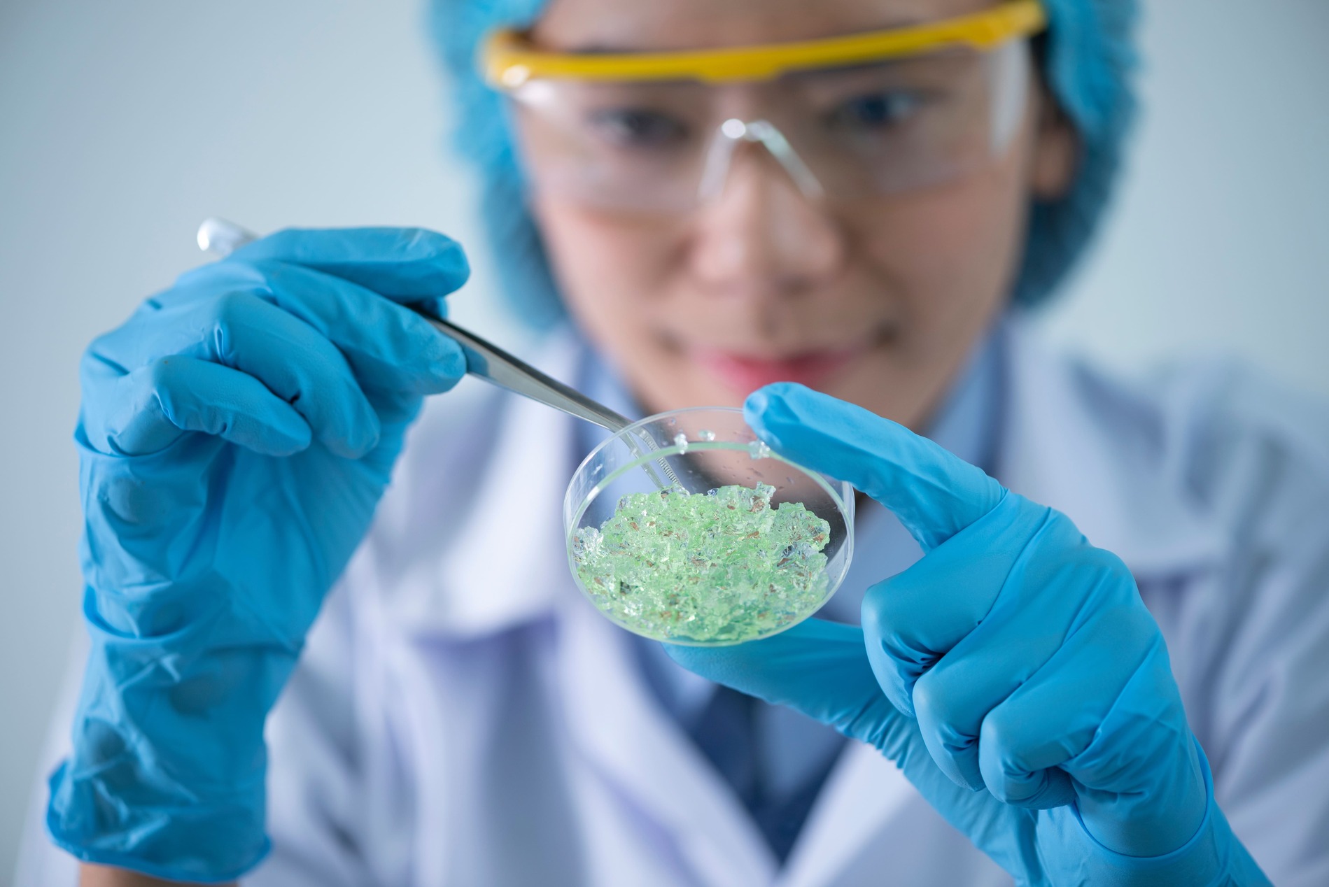 Life Sciences